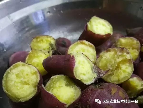 网购桥头富硒地瓜