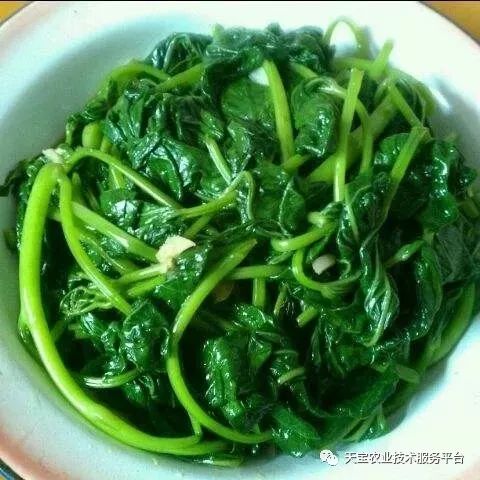 网购桥头富硒地瓜