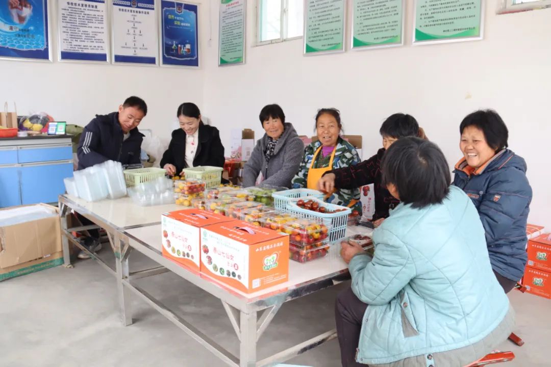 泰安富硒地瓜基地