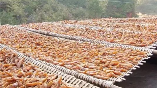 富硒地瓜食用方法