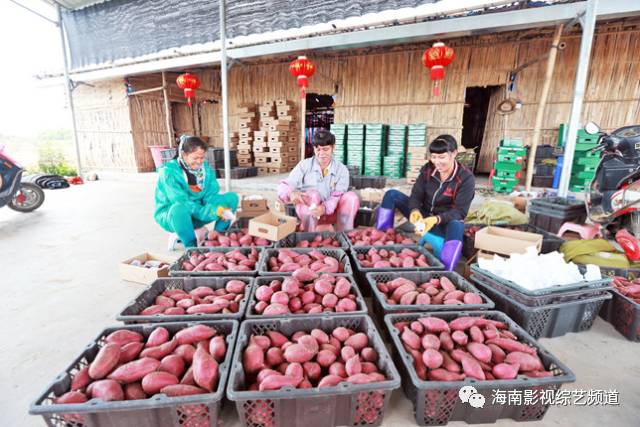 海南??诟晃毓希êD细晃毓隙嗌偾唤铮?硒宝网
