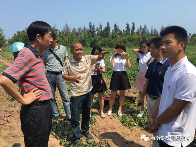 海南??诟晃毓希êD细晃毓隙嗌偾唤铮?硒宝网