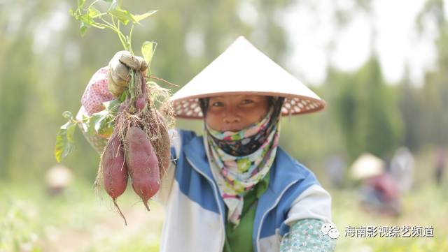 海南??诟晃毓希êD细晃毓隙嗌偾唤铮?硒宝网