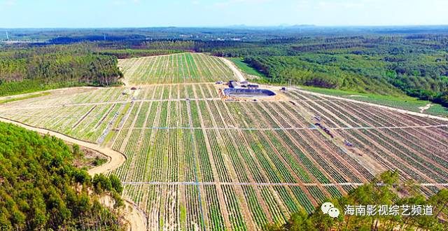 海南?？诟晃毓希êＤ细晃毓隙嗌偾唤铮?硒宝网