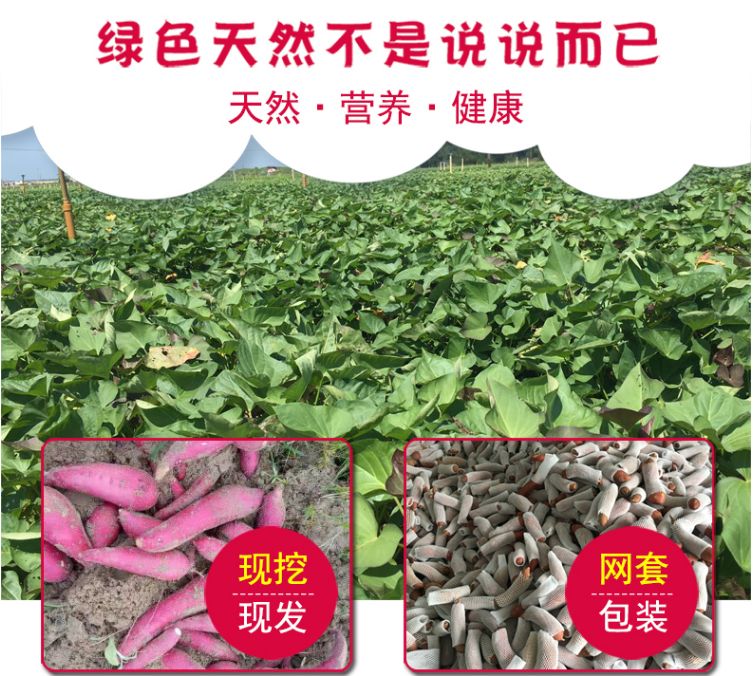 富硒地瓜皮的功效