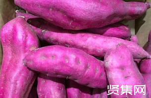 地瓜的种植方法和时间，地瓜品种有多少种？