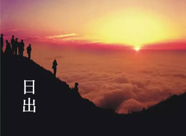 桥头富硒地瓜避坑