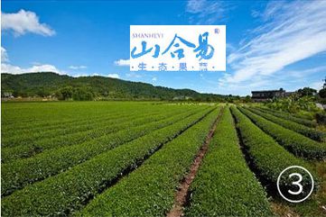 烟薯是富硒地瓜吗