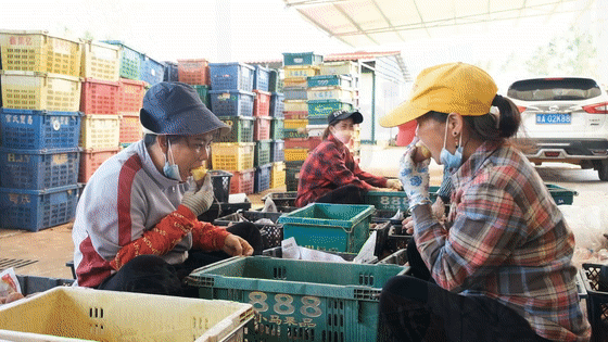富硒地瓜怎么做汤