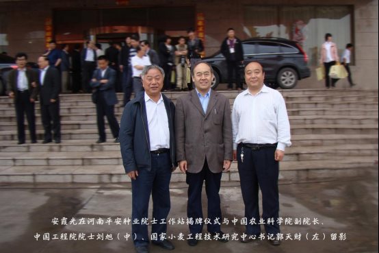 袁氏向山富硒面粉