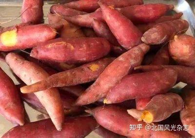 密薯是富硒地瓜吗