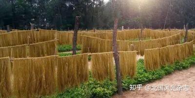 密薯是富硒地瓜吗