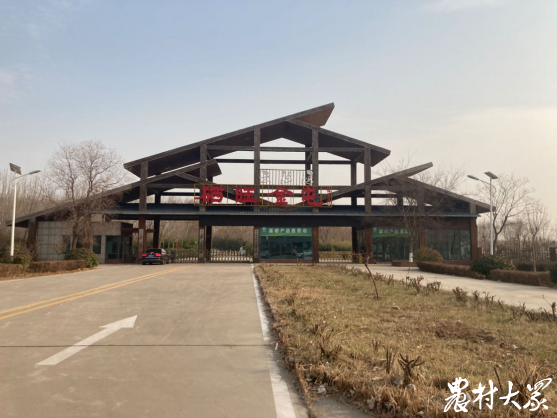 富硒有机小麦面粉