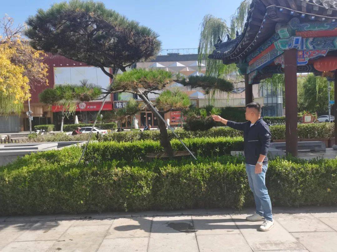 济南富硒面粉市?。媚细晃鞴希?硒宝网