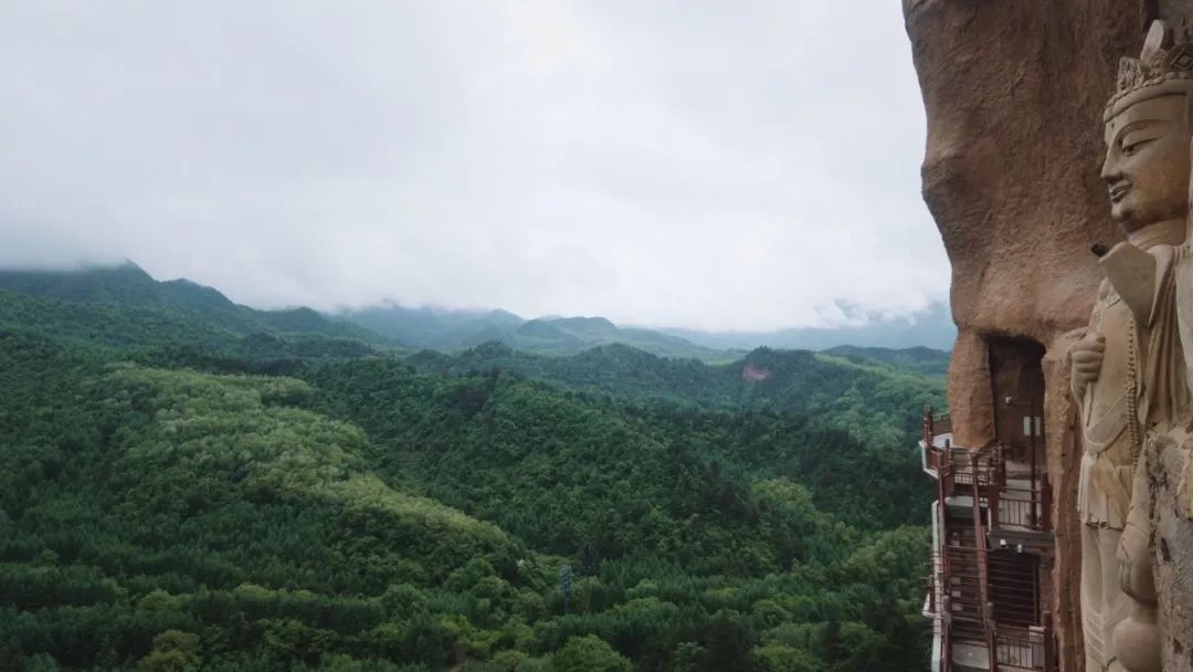 甘肃富硒面粉标准
