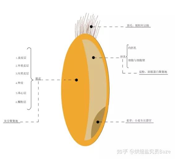 富硒面粉做法大全