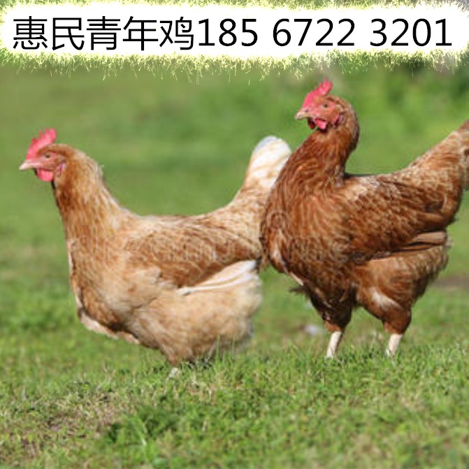 富硒面粉批发市?。ǜ晃娣鄢В?硒宝网