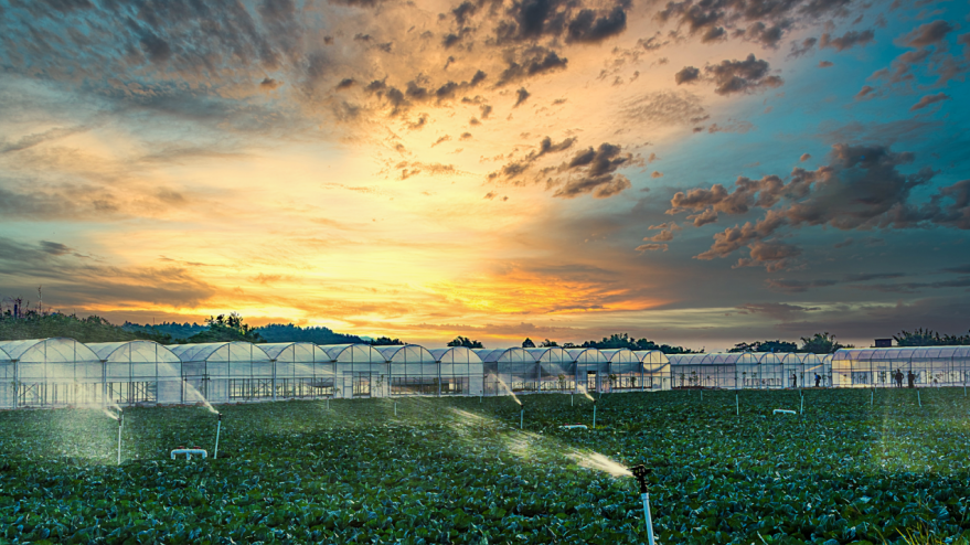 富硒瓜果蔬菜标准(蔬菜瓜果标准富硒含量)-硒宝网