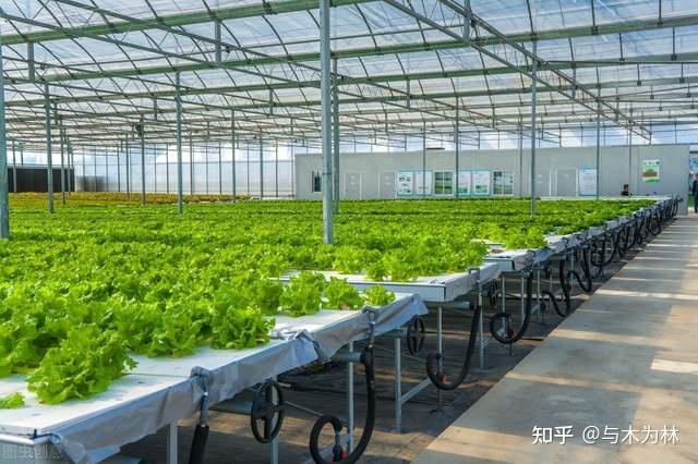 富硒蔬菜宣传细节(蔬菜宣传软文)-硒宝网