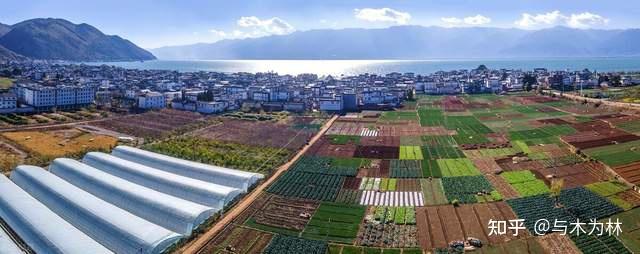 富硒蔬菜宣传细节(蔬菜宣传软文)-硒宝网