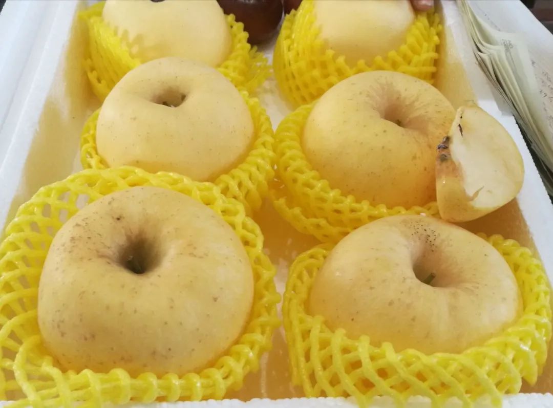 富硒蔬菜食品加盟