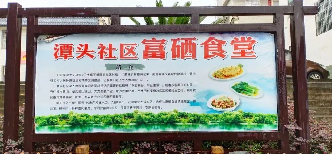 富硒蔬菜示范基地