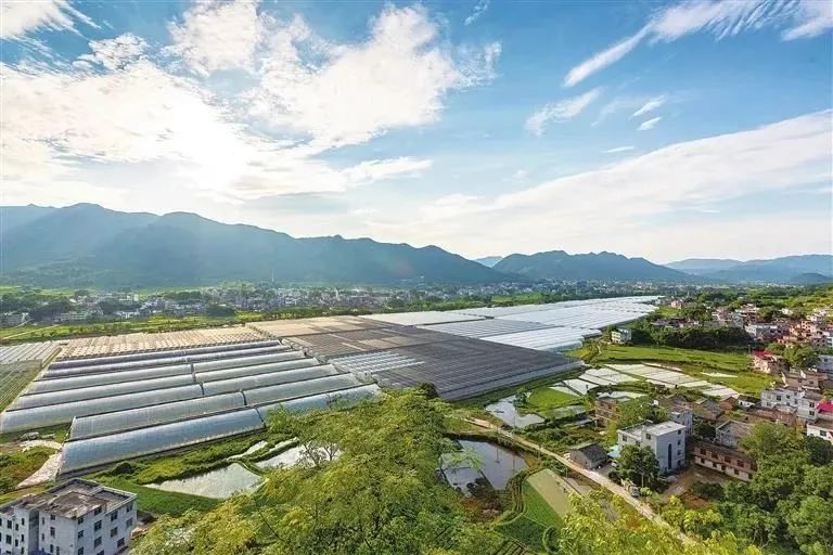 富硒蔬菜示范基地
