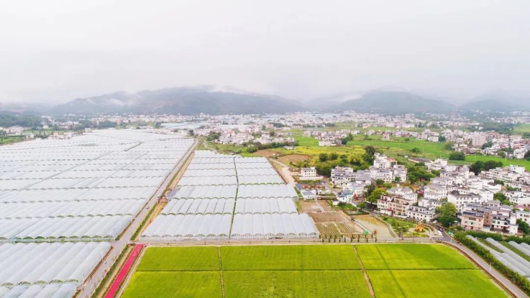 富硒蔬菜示范基地