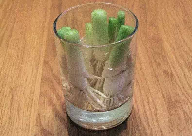 水培蔬菜富硒液肥