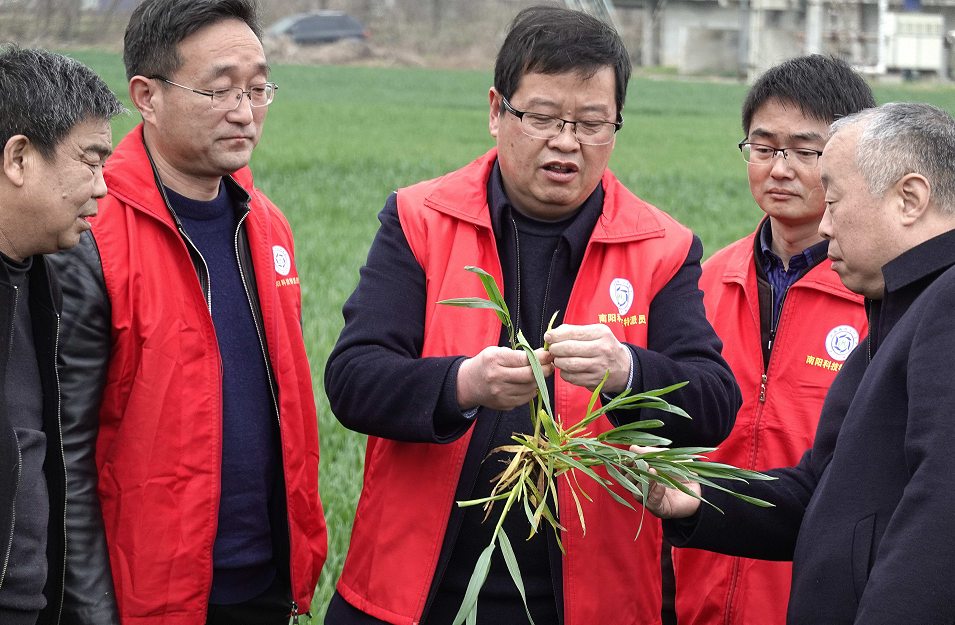 富硒蔬菜生产现状