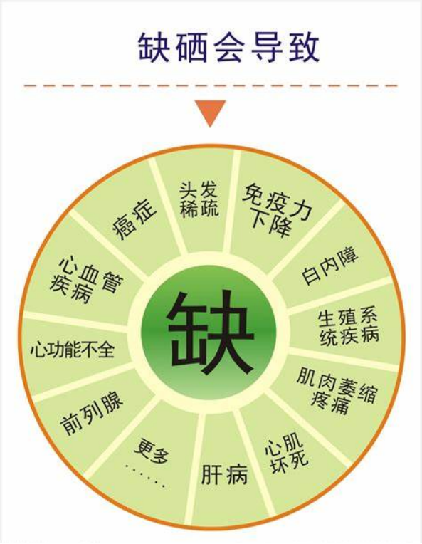 吃富硒蔬菜的好处