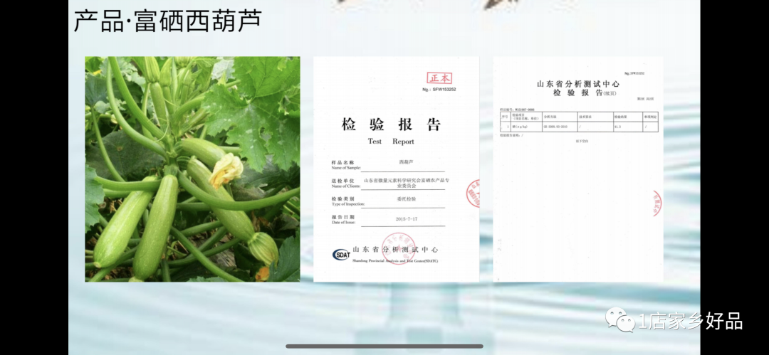 富硒蔬菜种植示范