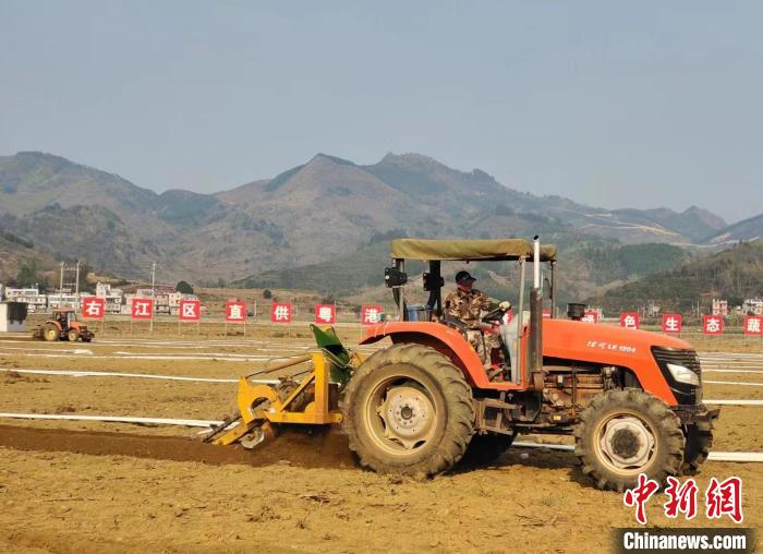 昌乐富硒蔬菜基地(硒来乐富硒食用菌粉价格)-硒宝网