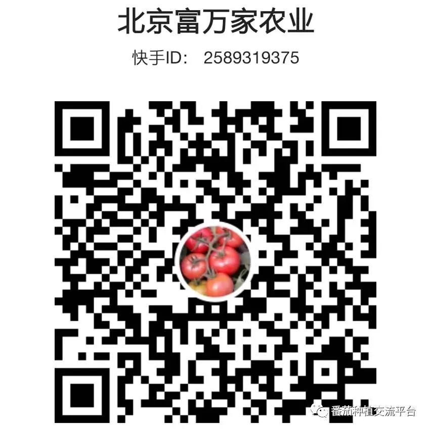 富硒蔬菜种植公司