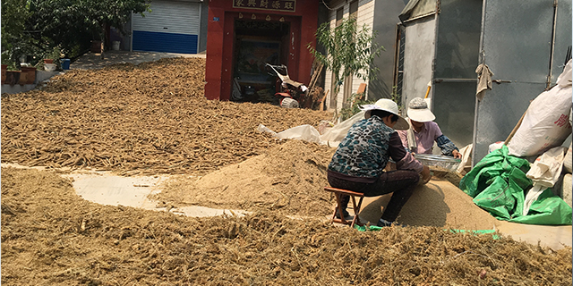富硒蔬菜有啥好处(蔬菜好处富硒有什么作用)-硒宝网