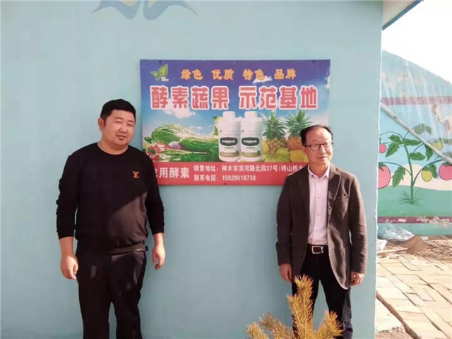 祝贺：酵素富硒草莓在陕西榆林试种成功！