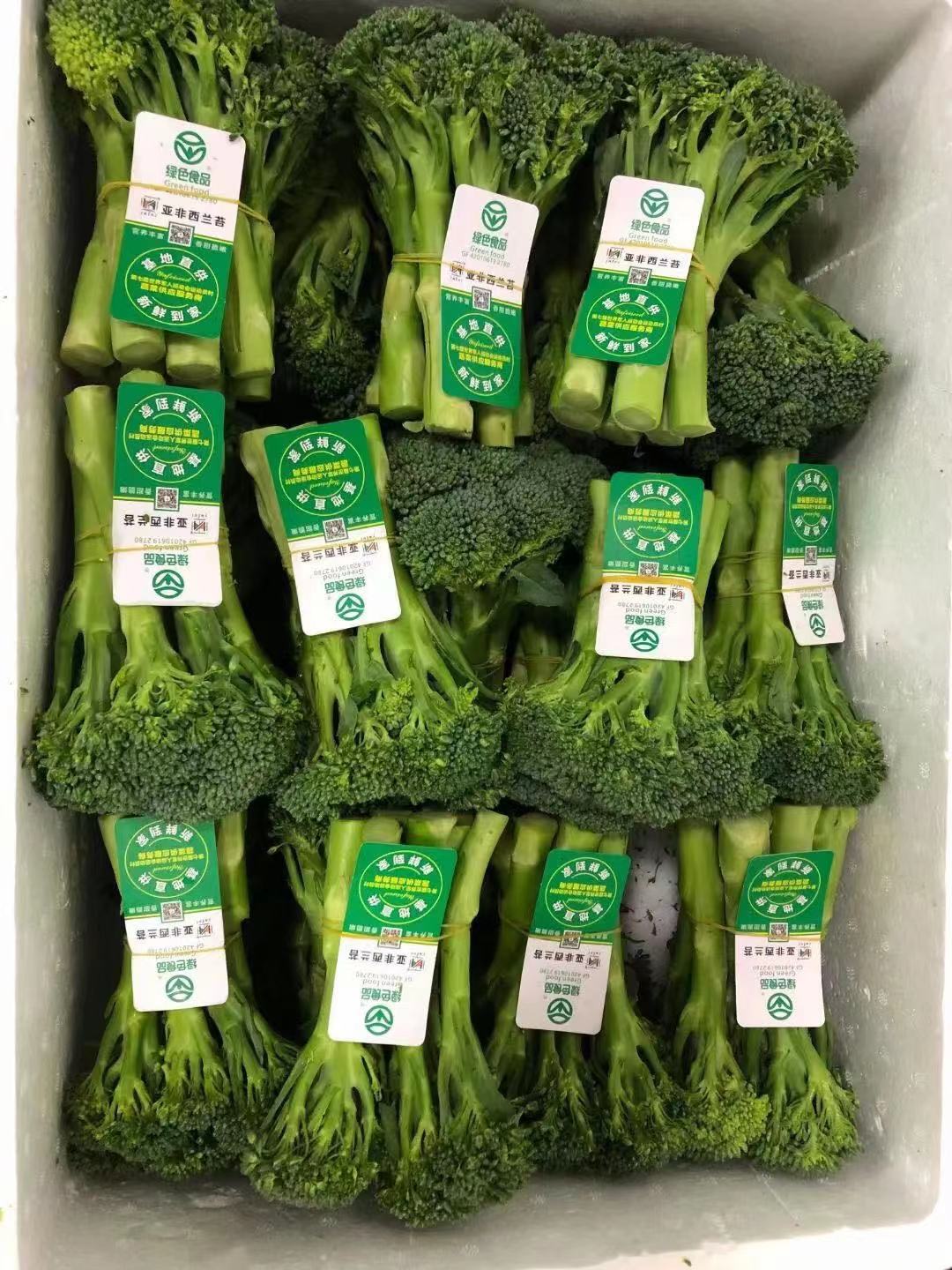 恩施富硒高山蔬菜