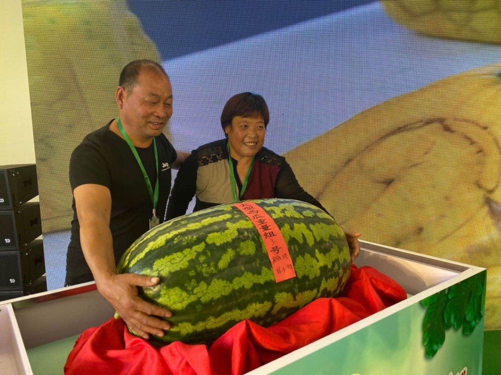 临淄富硒蔬菜采摘