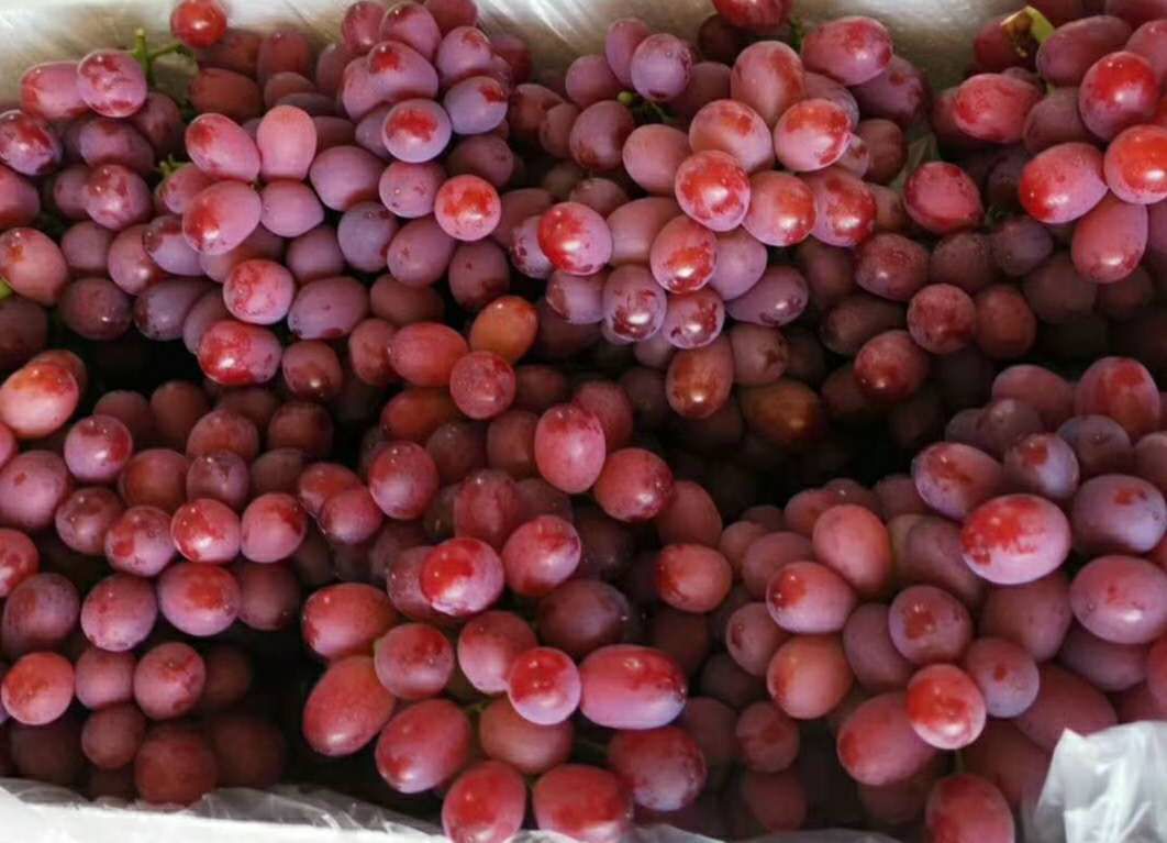 种蔬菜用的富硒肥