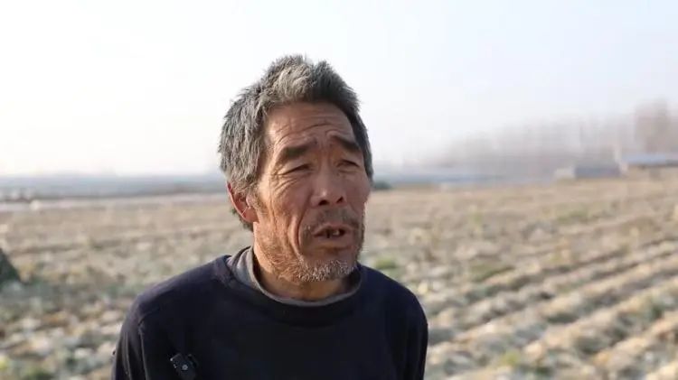 富硒蔬菜批发价格