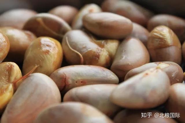 天然富硒水果皇后