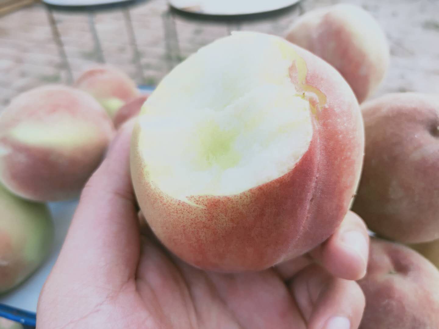富硒水果种植云南