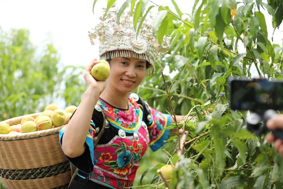 麻阳富硒水果标准