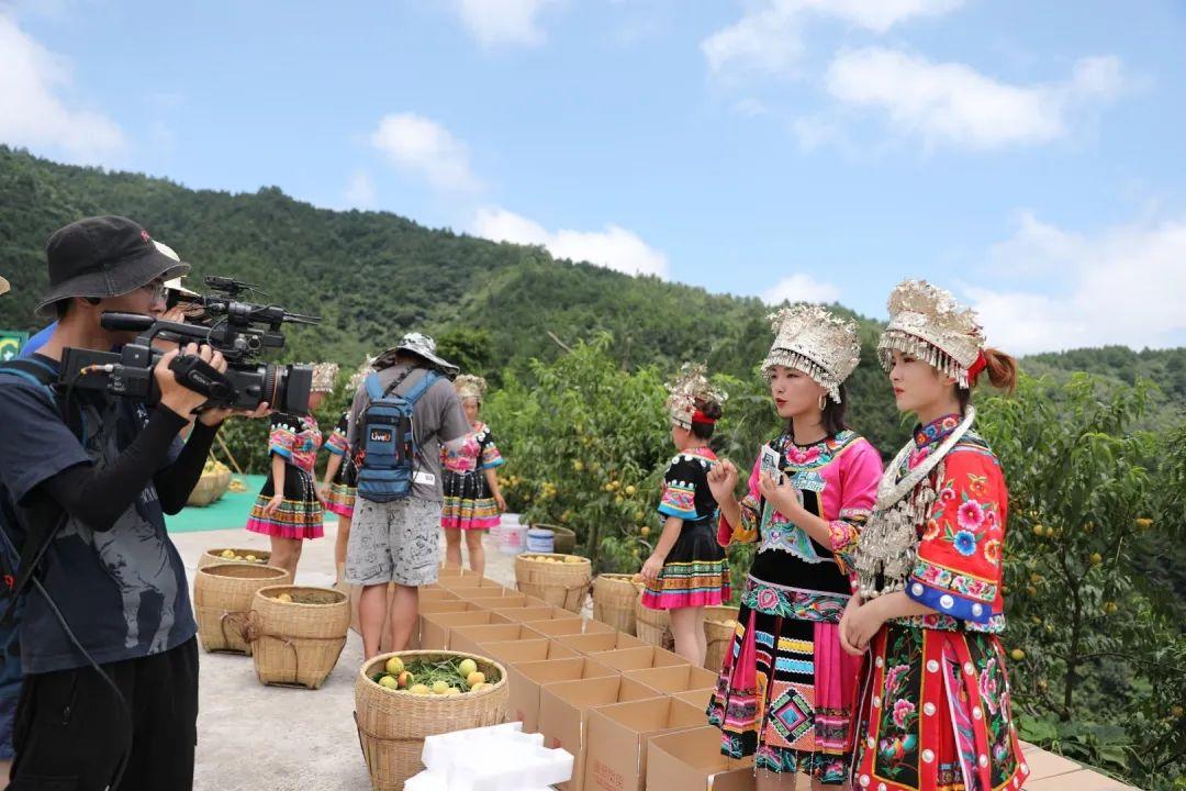 麻阳富硒水果标准