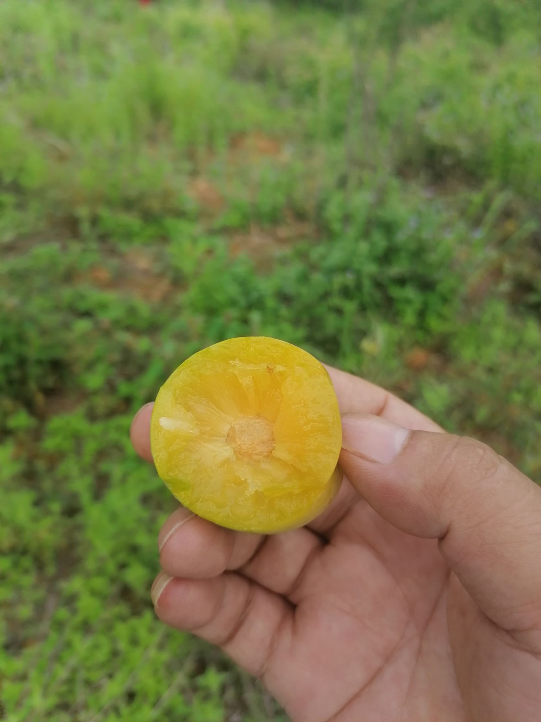 怎样种植富硒水果