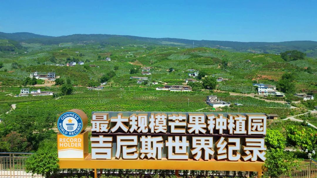 凉山富硒水果种植
