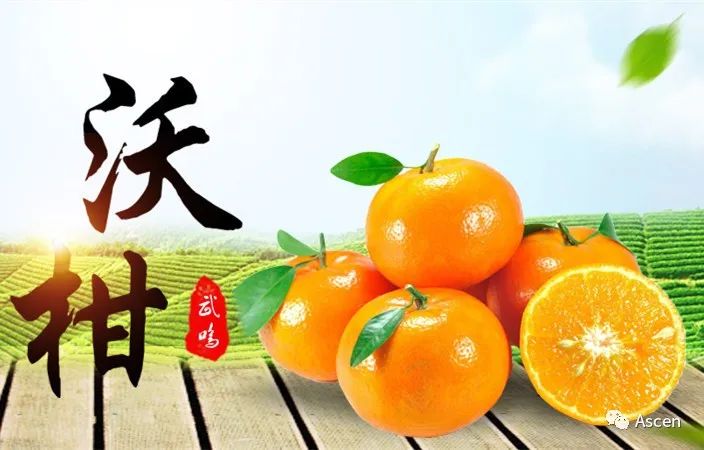 富硒水果交易市场(富硒水果硒含量标准)-硒宝网