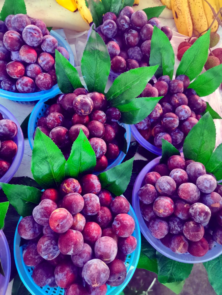 四川富硒水果种植(四川富硒土壤分布图)-硒宝网