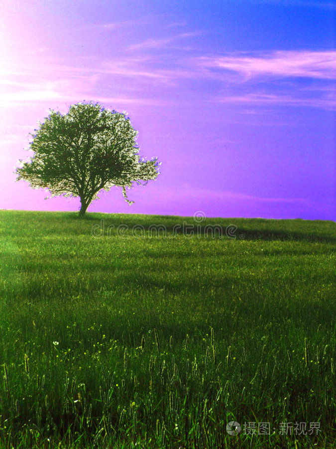 四川富硒水果种植(四川富硒土壤分布图)-硒宝网