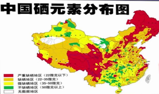 哪些电子产品含硒